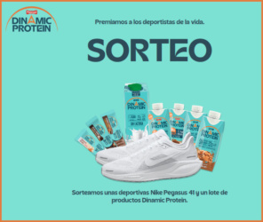 Sorteo Dinamic Protein Nike Pegasus 41 Lote