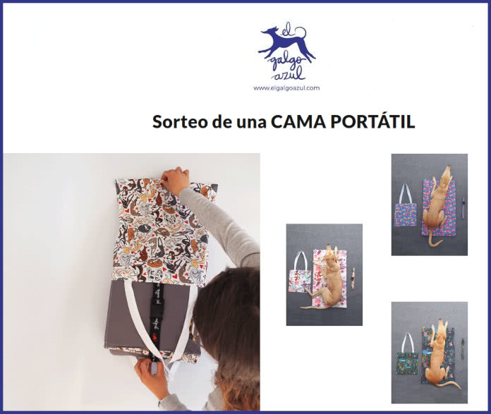 Sorteo El Galgo Azul Cama Portátil