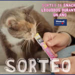 Sorteo Vitakraft 12 Meses Lote