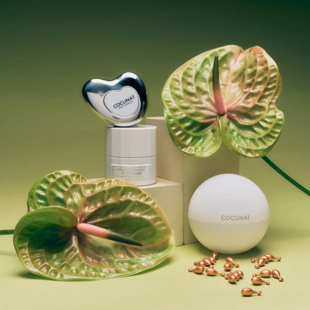 Regalos Suscripción Revistas Vogue Noviembre 2025 Cocunat
