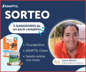 Sorteo Adaptil 3 Ganadores Packs Completos