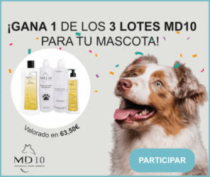 Sorteo Md10 3 Lotes