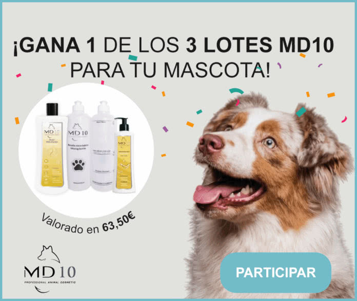 Sorteo Md10 3 Lotes