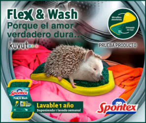 Tester Kuvut Spontex Flex Wash