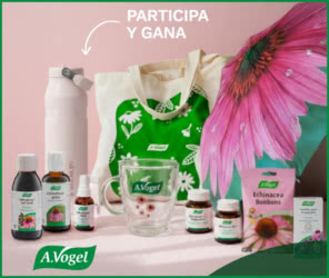 Sorteo A Vogel Lote 60e