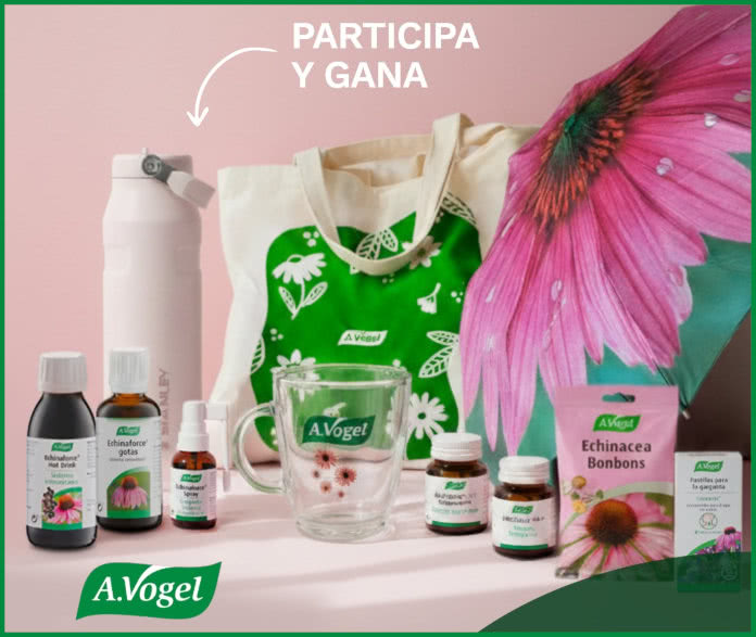 Sorteo A Vogel Lote 60e