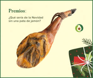 Sorteo Aguacate España Lote 250e