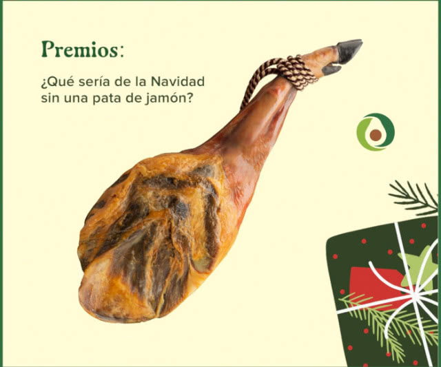 Sorteo Aguacate España Lote 250e