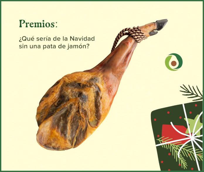 Sorteo Aguacate España Lote 250e