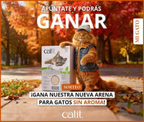 Sorteo Catit Nueva Arena Sin Aroma