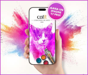 Concurso Catit Iphones 17 Arte