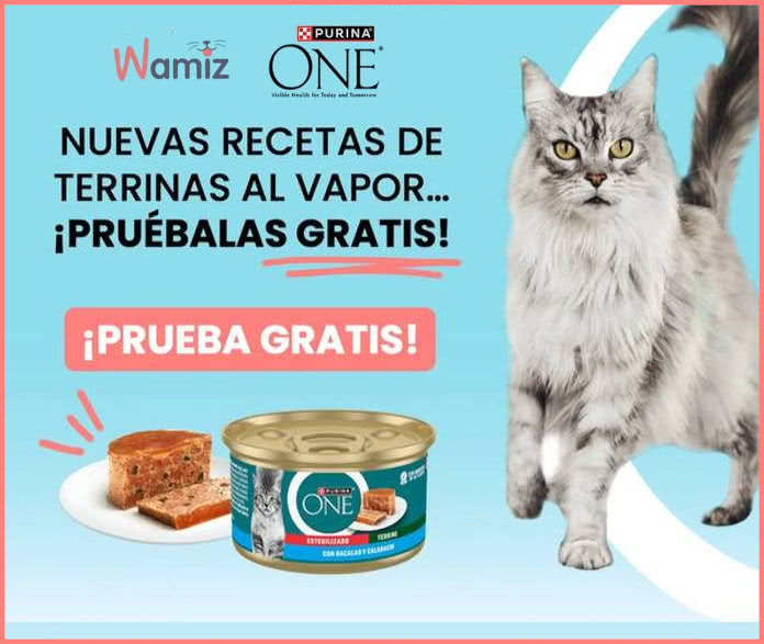 Prueba Gratis Wamiz 30 Unidades