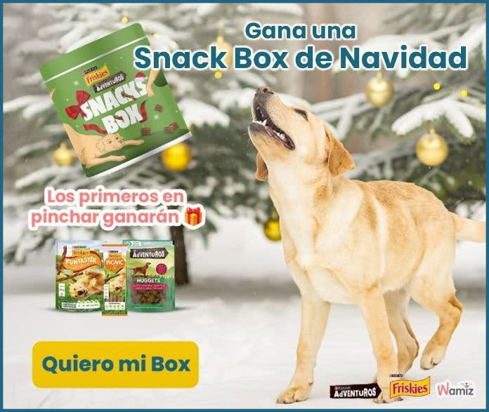 Regalo Wamiz 450 Snack Box Perros Friskies Adventuros
