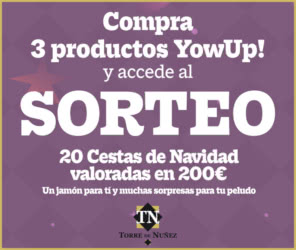 Sorteo Por Compra Yowup 20 Cestas Navidad 200e