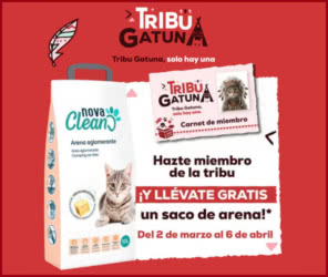 Gratis Tribuna Gatuna Arena Gratis