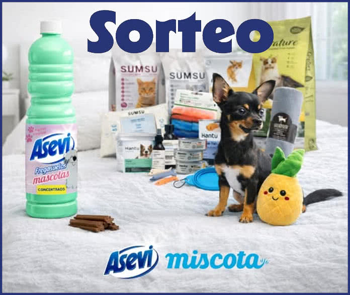 Sorteo Asevi Miscota Lotes