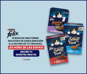 Tester Wamiz 1000 Probadores Sauce Time