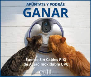 Sorteo Catit Fuente Acero