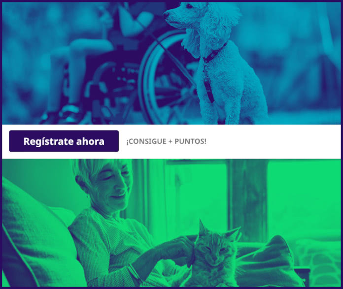 Campañas Testers mascotas