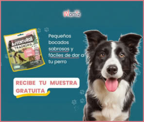 Muestras Gratis Wamiz Adventuros Training
