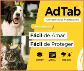 Reembolso Trnd Adtab Masticables