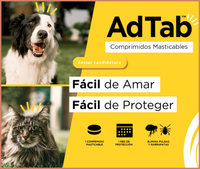 Reembolso Trnd Adtab Masticables