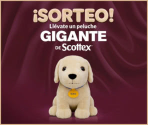 Sorteo Instagram Scottex