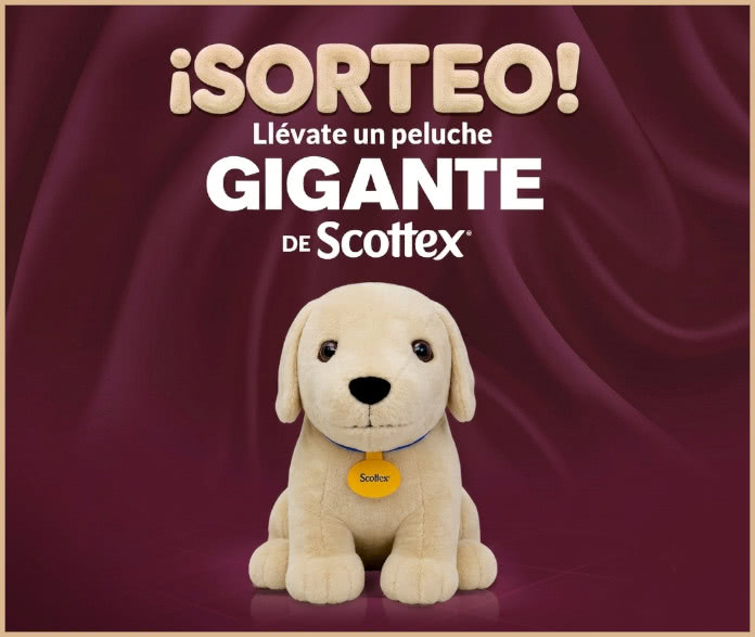 Sorteo Instagram Scottex