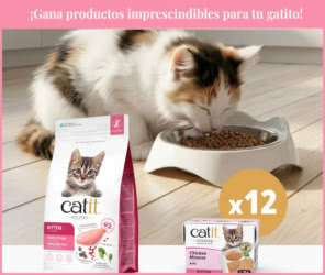 Sorteo mensual Catit