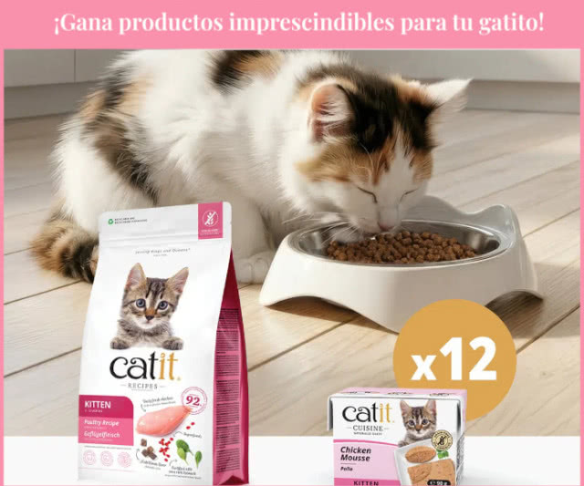 Sorteo mensual Catit