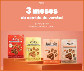 Sorteo 3 Meses Gratis Alimento para Perro Dogfy Diet