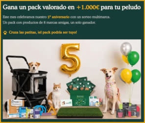 Sorteo Food For Joe