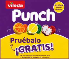 Prueba Gratis Vileda Punch