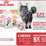 Cupones Descuento Royal Canin 5 Euros y Sorteo 6 Meses Lote Gatos