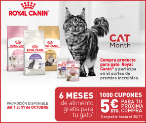Cupones Descuento Royal Canin 5 Euros y Sorteo 6 Meses Lote Gatos